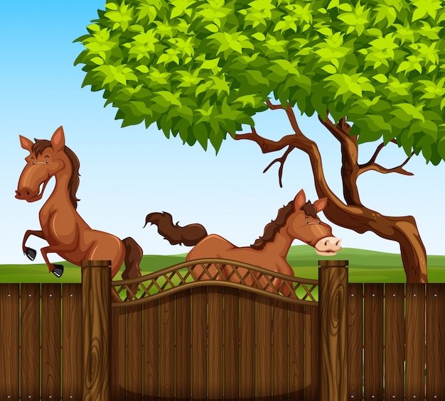 Free vector two brown horse in the field