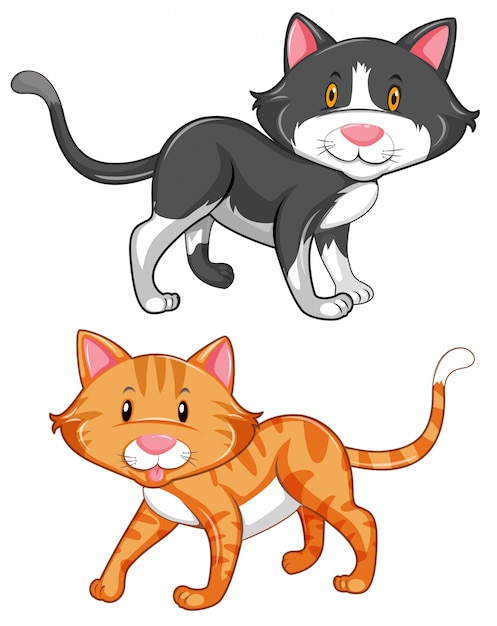 Free vector two cute cats on white background