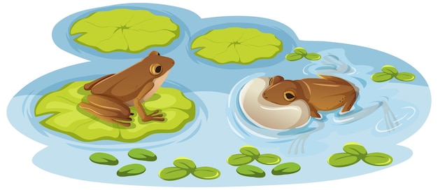 Две лягушки на листьях лотоса в воде