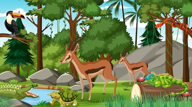 Two Impala with other wild animals in forest at daytime scene