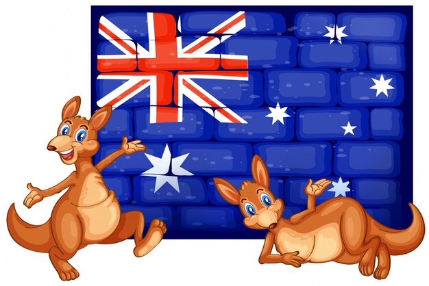 Two kangaroo and flag of Australia