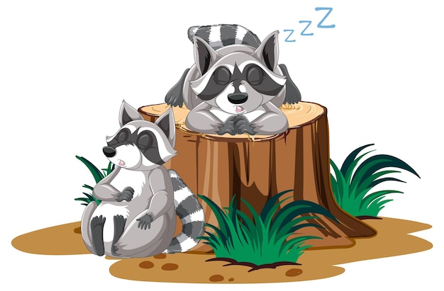 Two raccoons sleeping on the log