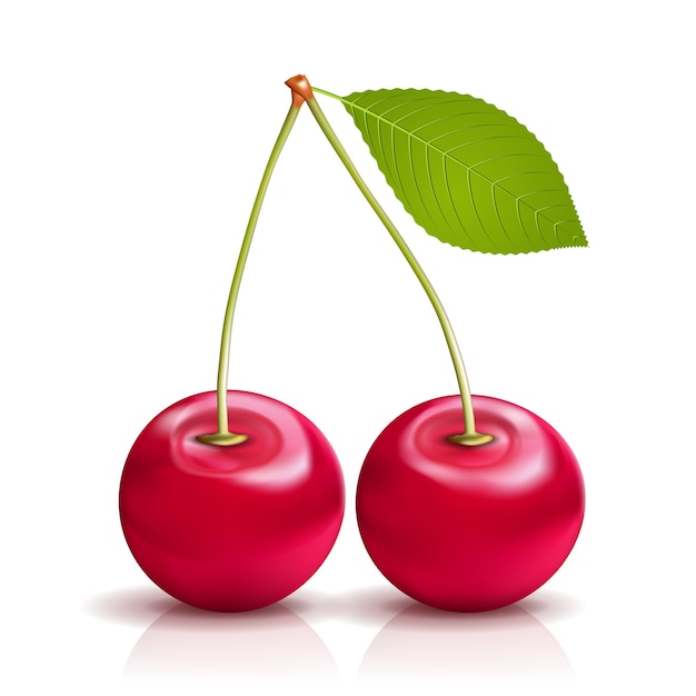 Two realistic vector cherries with Leaf isolated on white background