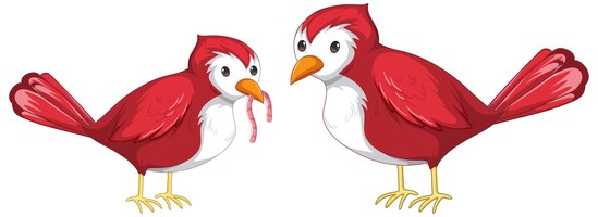 Due uccelli rossi che catturano un verme in stile cartone animato isolato