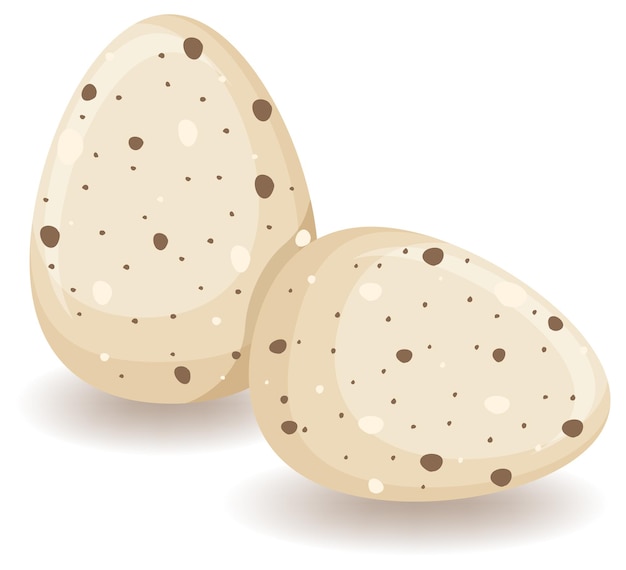 Бесплатное векторное изображение Два круглых яйца коричневого цвета