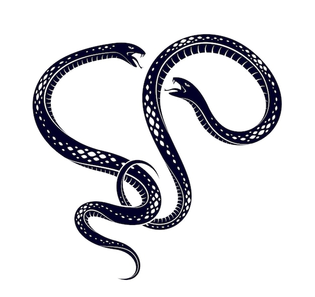 Две змеи борются с векторной символической татуировкой в классическом стиле, ядовитые змеи борются. Premium векторы
