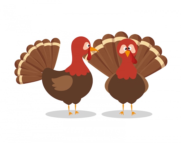 Free vector two turkey animal thanksgiving