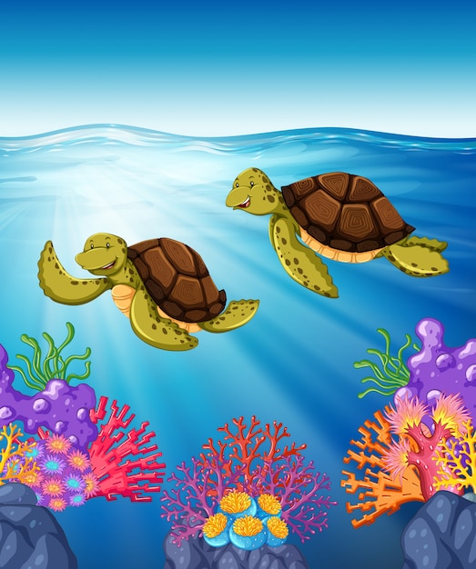 Две черепахи плавают под морем