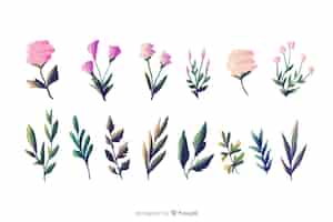 Free vector types of foliage and flora on white background