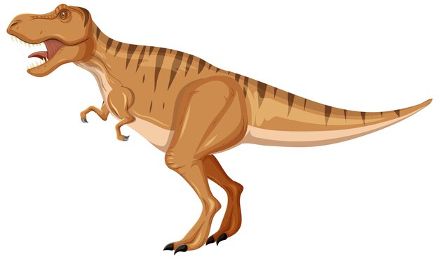 Tyrannosaurus Rex dinosaur on white background