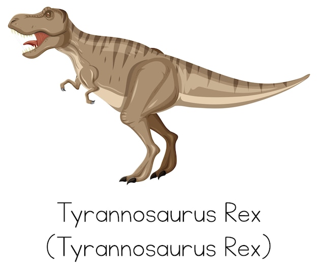 Free vector tyrannosaurus rex roaring on white background