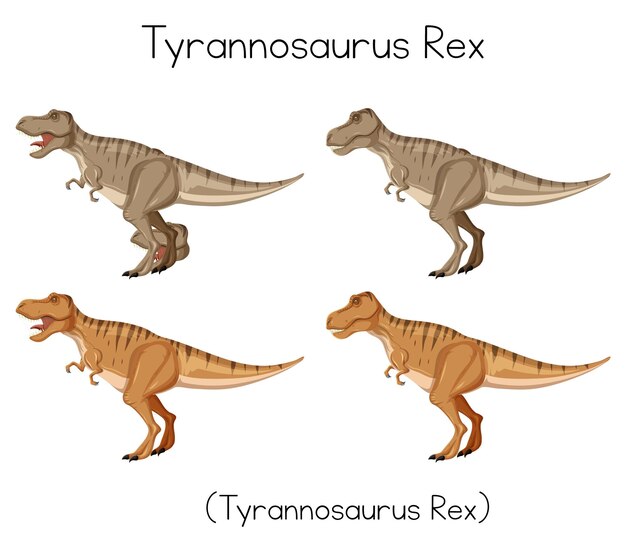 白い背景の上のティラノサウルスレックスのワードカード
