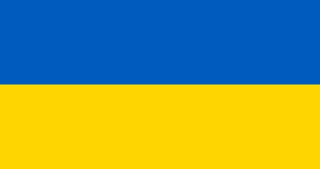 Ukrainian flag pattern vector