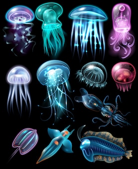 Underwater animals icon set