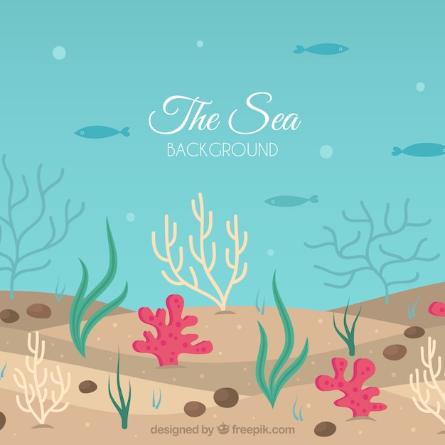 Underwater background with different marine species