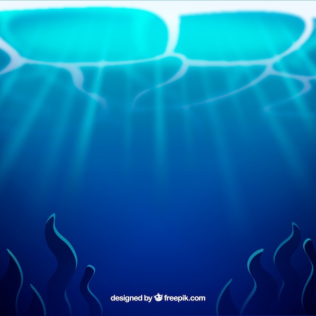 Free vector underwater background with seaweeds