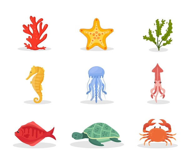 Набор иллюстраций подводной природы Коралловые морские звезды и морские водоросли, экзотическая рифовая флора и фауна, тропические водные животные и растения, медуза, морской конек и кальмар, рыба, черепаха и краб