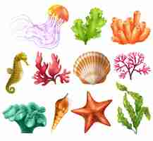 Free vector underwater organism realistic set of jellyfish seashell algae coral starfish seaweed isolated vector illustration