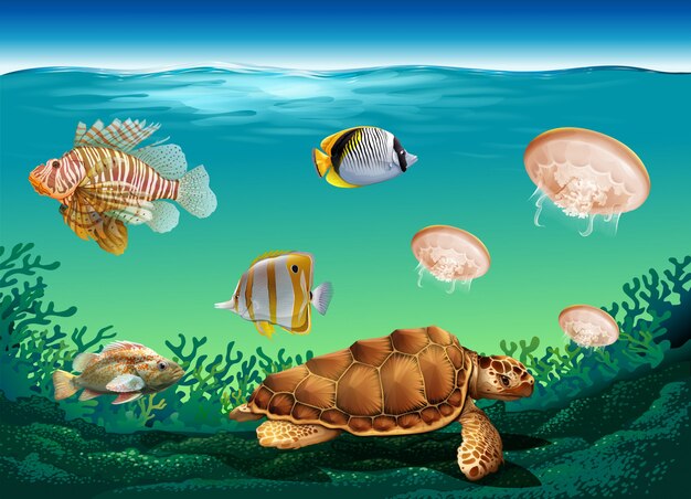 Underwater scene with many sea animals