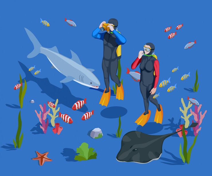 Free Vector underwater tourism background composition