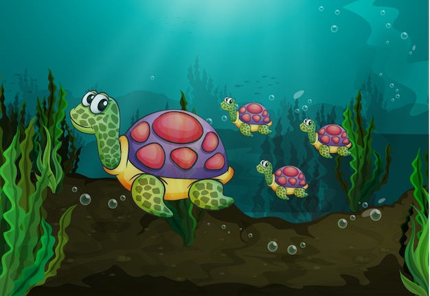 Underwater turtles