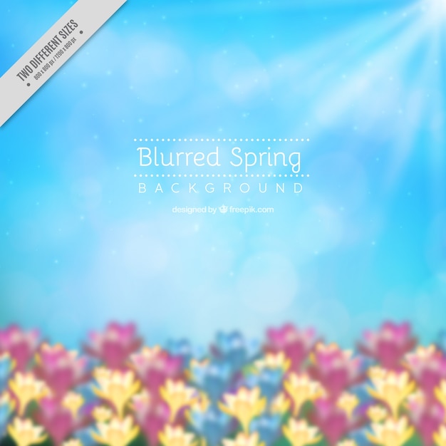 Free vector unfocused flower background