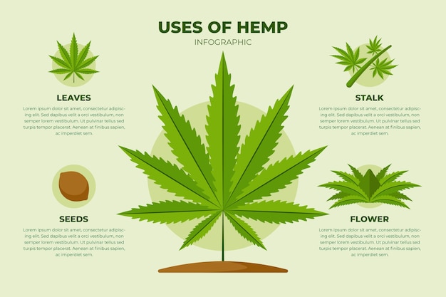 Free vector uses of hemp infographic template
