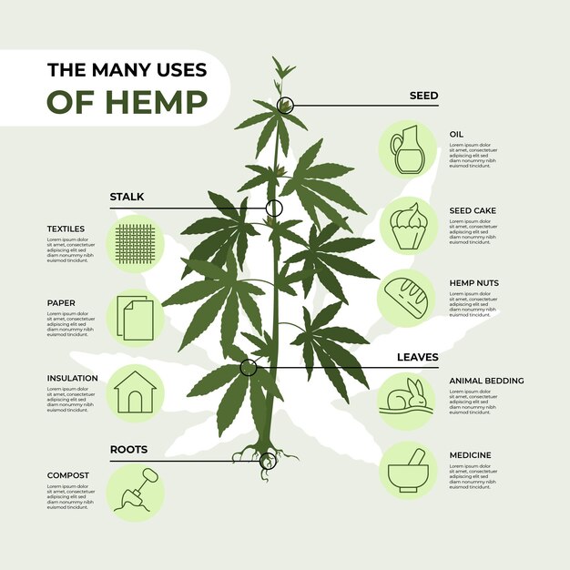 uses of hemp - infographic