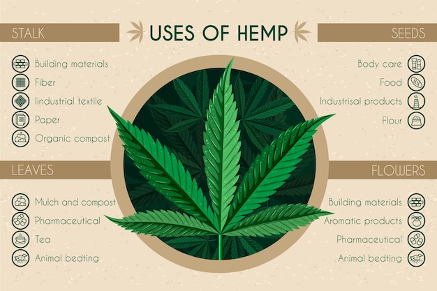 Free vector uses of hemp infographic