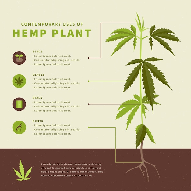 Uses of hemp - infographic