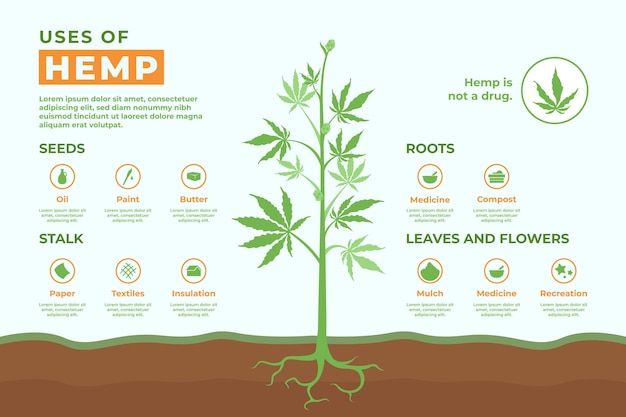 Uses of hemp - infographic