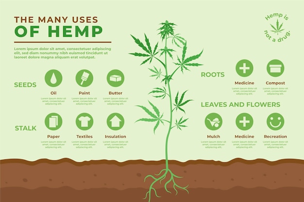 Free vector uses of hemp - infographic