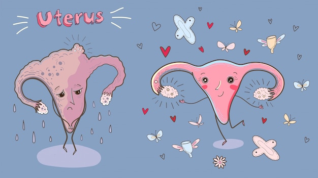 Uterus illustration. human internal organs. vector character