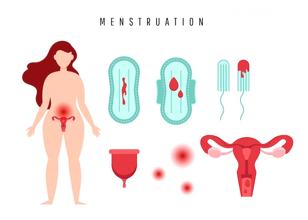 Uterus with ovarian organ, swabs, gasket, menstrual cup and blood drop.