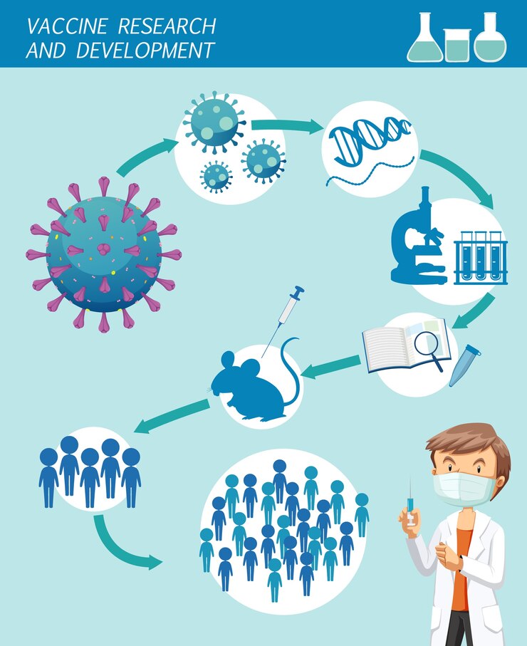 Free Vector vaccine research and development infographic