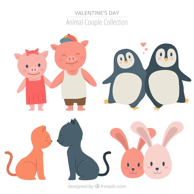 Valentine animal couple collection