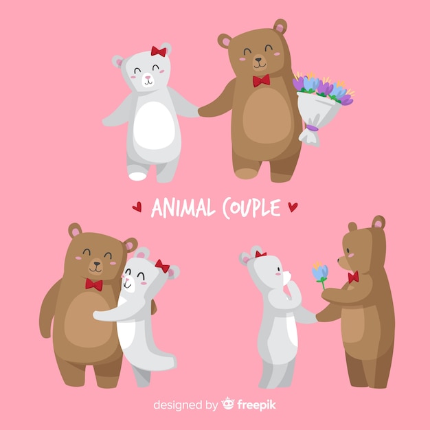 Valentine bear couple pack