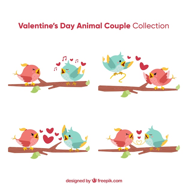 Valentine bird couple collection