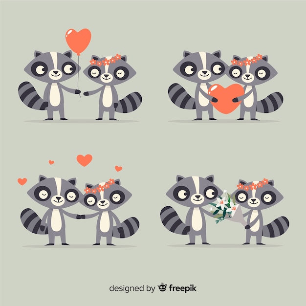 Free vector valentine raccoon couple collection