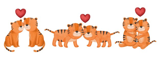 バレンタインデーのベクトル図グラフィックデザイナーのための多くの心を持つ白い背景の上の3つのかわいいカップルの虎は、さまざまな招待状や挨拶のためのアートワークカードのパンフレットを作成します