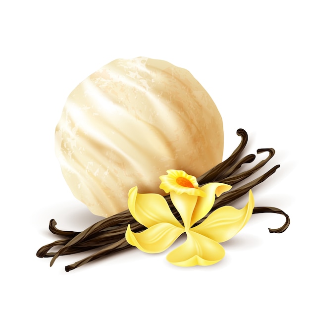 Free vector vanilla ice cream scoop closeup realistic composition with aromatic dried beans and fresh yellow flower