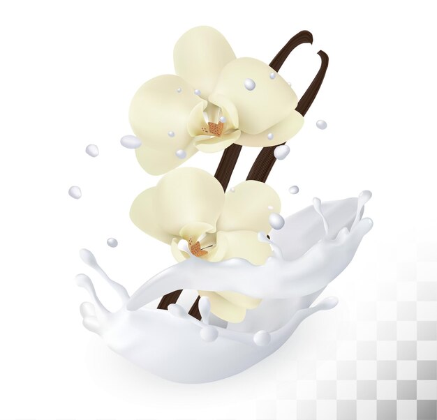 バニラ 画像 無料のベクター ストックフォト Psd