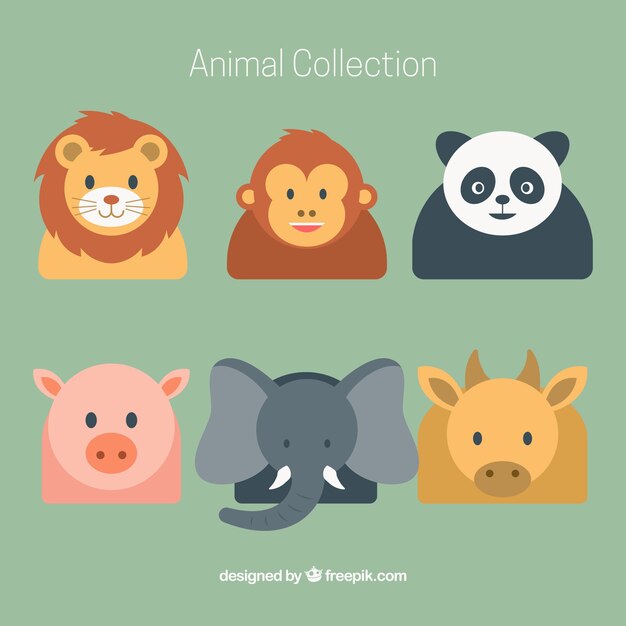 Разнообразие животных в плоском дизайне