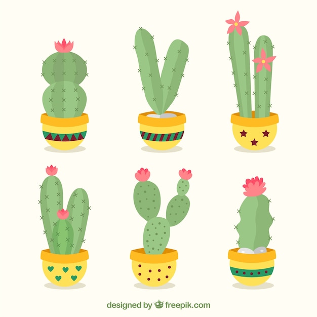 Free vector variety of cactus with flowers