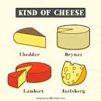 Free vector variety of cheese