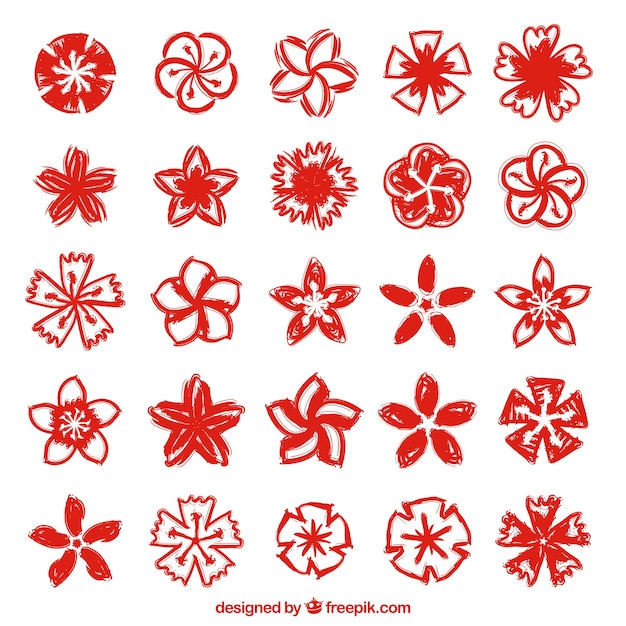 Free Vector variety of cherry blossoms