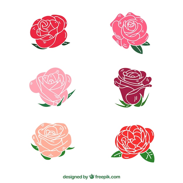 Variety of colored roses