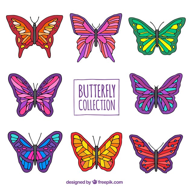 Variety of colorful butterflies in hand-drawn style