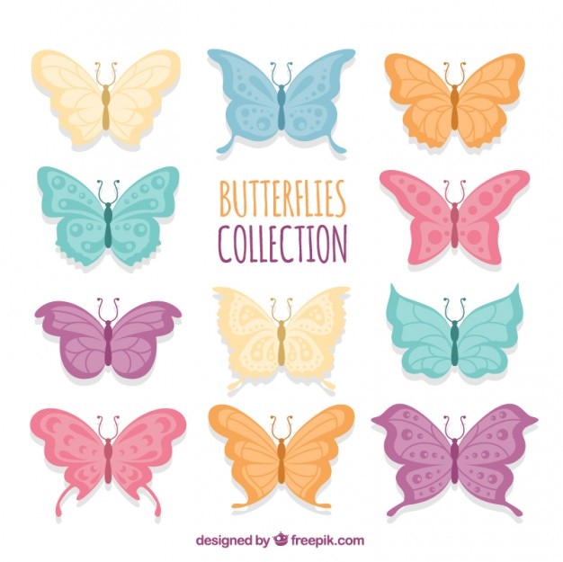 Free vector variety of colors butterflies