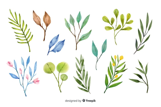 Variety of colourful leaves on white background